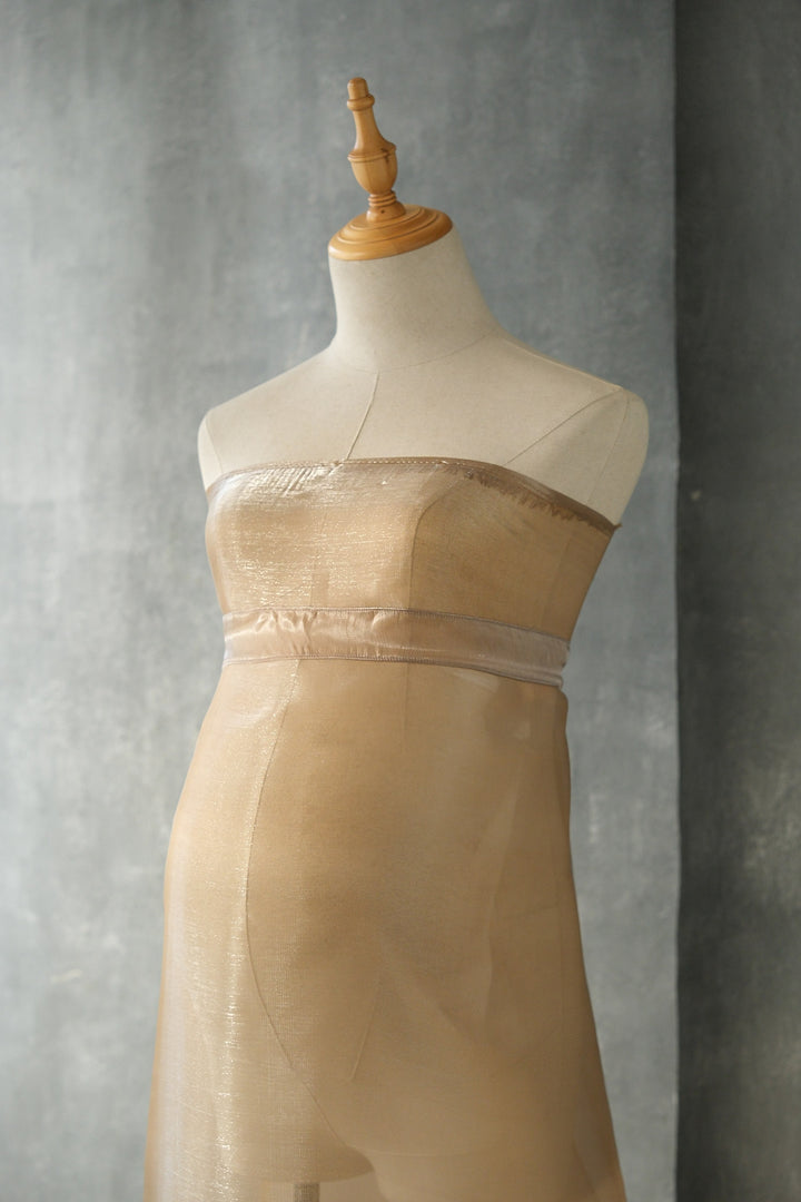 Aura Organza Set- Shiny Organza 5 yards