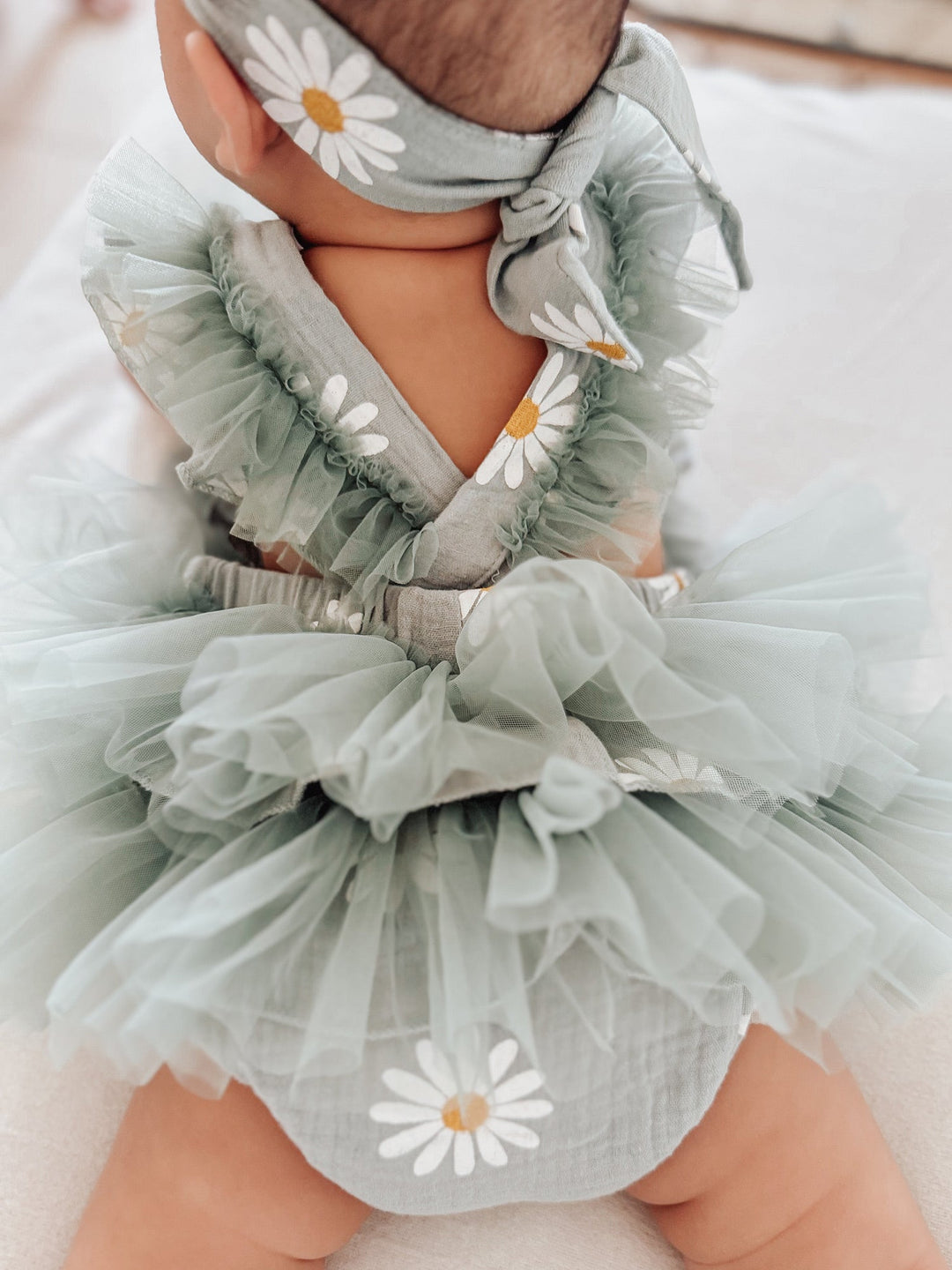 Daisy Dance