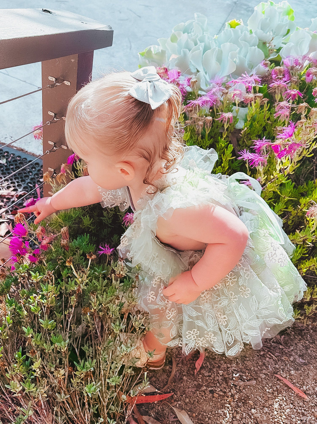 Sage Kisses