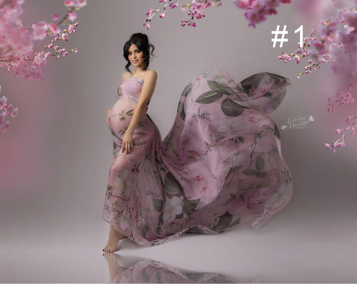 Chiffon with Graphics (5 yards) - 10 Piece Bundle Set