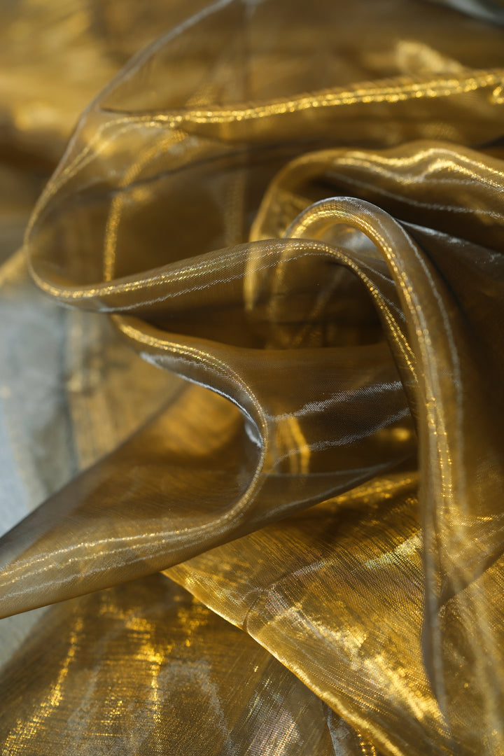 Noir Organza - Shiny Sheer Organza 8 yards